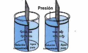 Osmosi inversa